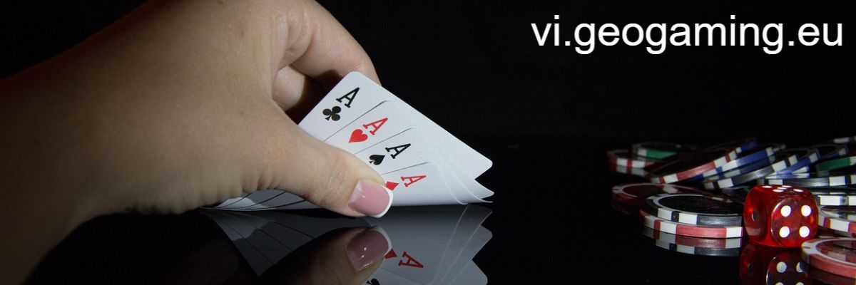 vi.geogaming.eu